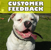 buddys_customer_feedback