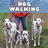buddys_dog_walking
